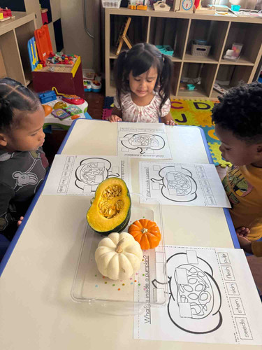 Photo of Bright Blossoms Daycare - Ontario, CA