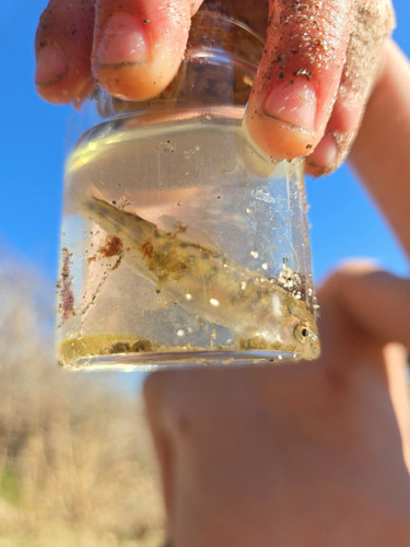 Photo of Farfan Family Child Care Home - Plumas Lake, CA