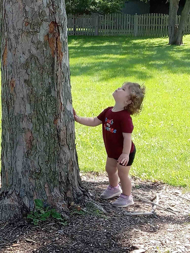 Photo of Christine M. - Wonder Lake, IL