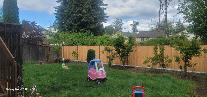 Photo of Honeybear Childcare - Everett, WA