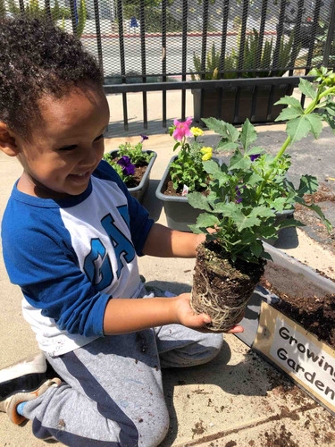 Photo of Kidz Korner Daycare - Santa Monica, CA