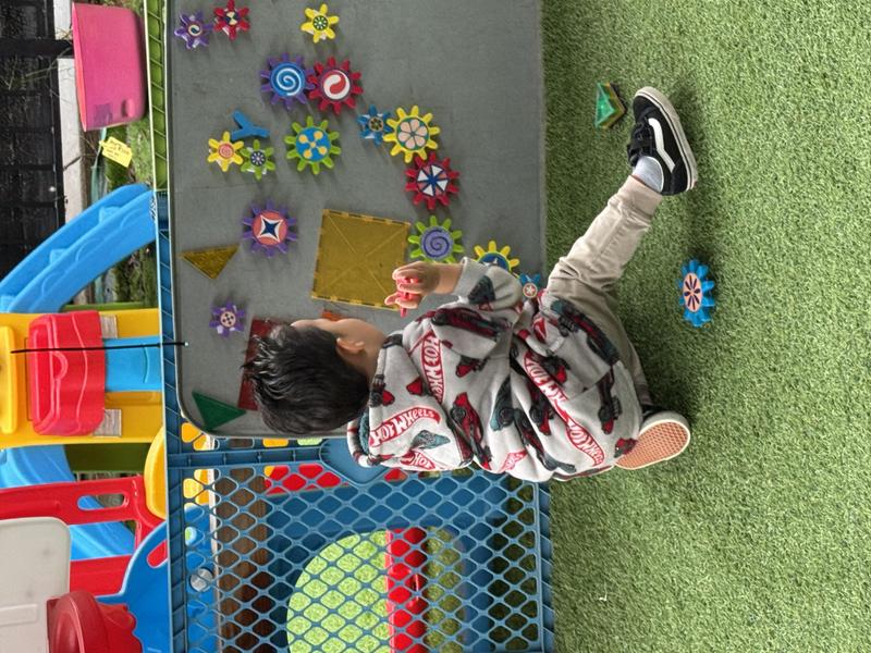 Photo of Little Bee Explores - El Cajon, CA