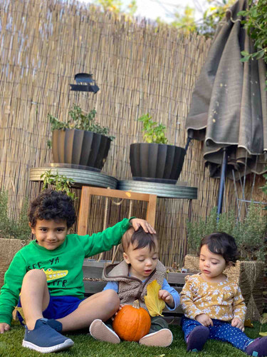 Photo of Tree House Child Care Daycare - Glendale, CA