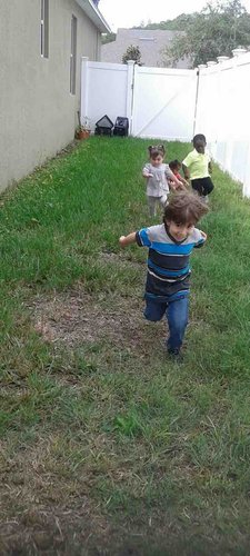 Photo of Tender Littles - Hudson, FL