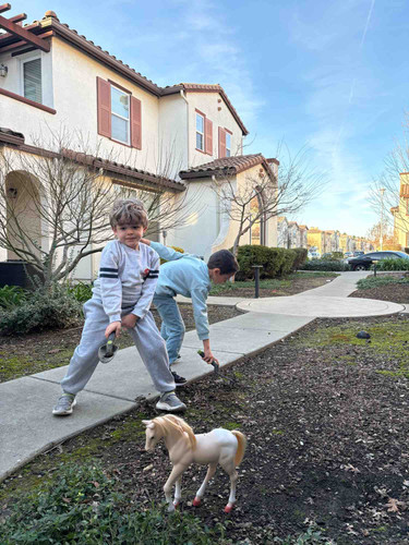 Photo of The Nest At Elk Grove - Elk Grove, CA