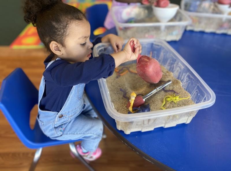 Photo of Ark Academy Center - Lancaster, CA