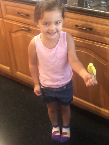 Photo of Crafty Kidos Daycare - San Jose, CA