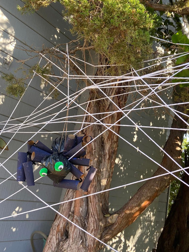 Photo of 白天鹅双语学习中心日托中心 - 库比蒂诺, CA