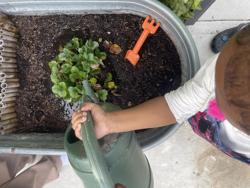 Photo of Young Achievers Learning Academy Daycare - Carson, CA