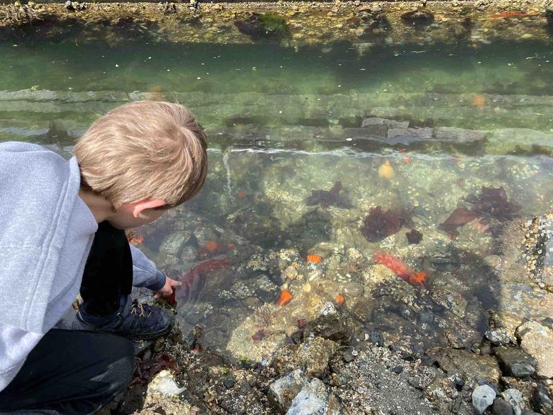 Photo of Sarina S. - Bremerton, WA