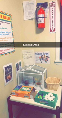 Photo of Lucky Childcare Daycare - Seatac, WA