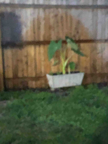 Photo of Julia Brown Daycare - Barnegat, NJ