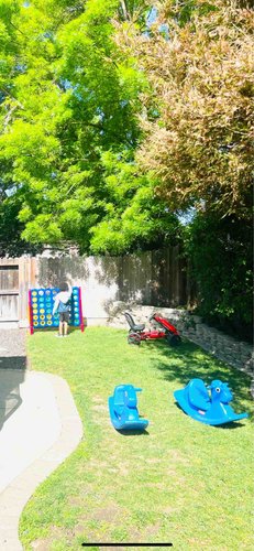 Photo of Little Tiny People Daycare - Oakley, CA