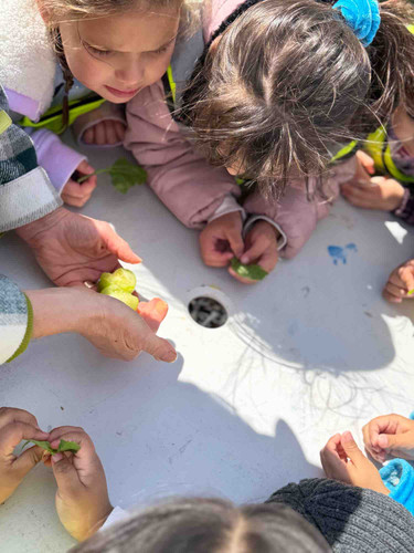 Photo of Holy Cross Ministries- School Readiness Program - Park City, UT