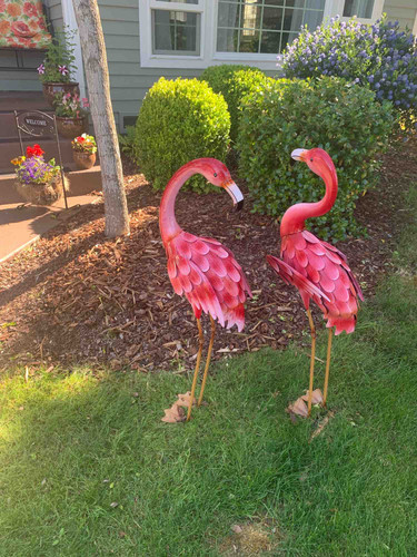 Photo of LULU’S Home Daycare - Fedralway, WA