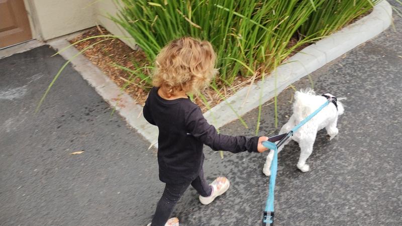Photo of Rainbow Colors Family Child Care - Vista, CA