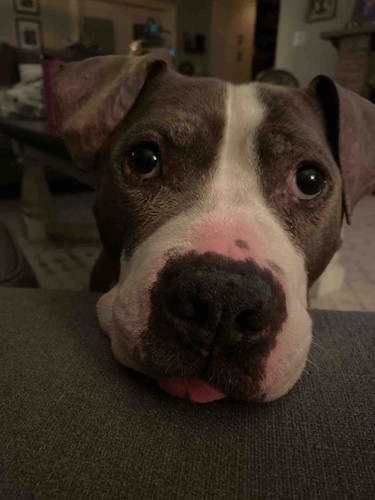 Photo of Lauren Daycare - Queensbury, NY