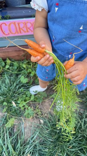 Photo of Little Tribe Daycare - Sunnyvale, CA