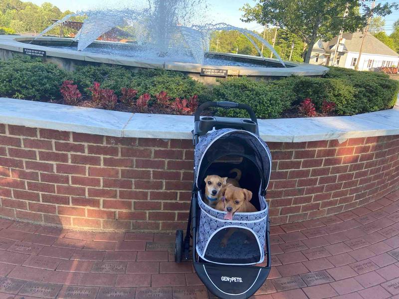 Photo of Cynthia H. - Atlanta, GA