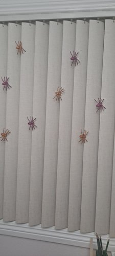 Photo of SkyKids Montessori Day Care - Torrance, CA