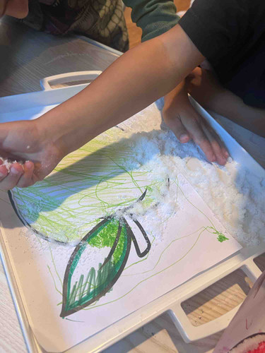 Photo of Premier Playhouse Academy LLC - Bellevue, WA