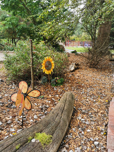 Photo of Bunny Hop Academy - Marysville, WA