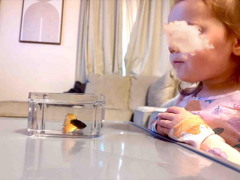 Photo of Little Hands Big Hearts - Seatlle, WA