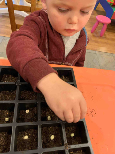 Photo of Skeyci Children Programs Daycare - Castro Valley, CA