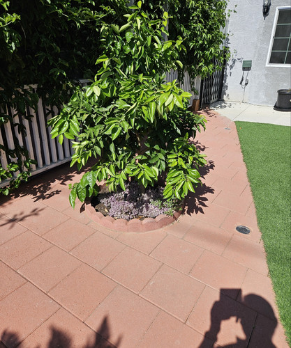 Photo of Melkonyan Family Child Care Daycare - Winnetka, CA