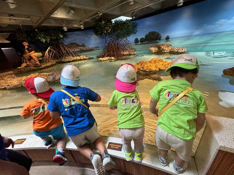 Photo of Little Adventures Daycare - Revere, MA