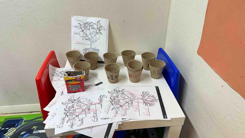 Photo of Caillou Childcare - Hyde Park, MA