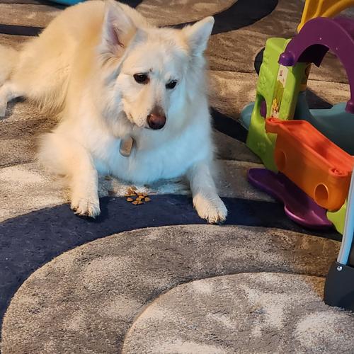 Photo of Academy Of Learners Daycare - North Richland Hills, TX