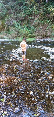 Photo of Amanda Lee S. - Vancouver, WA