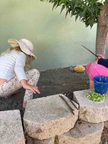 Photo of Little Wildflowers - Long Beach, CA