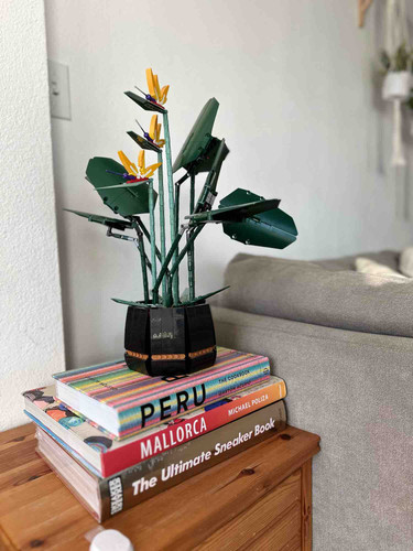 Photo of Creating Wonder Home Daycare - Inglewood, CA