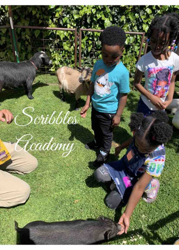 Photo of Scribbles Academy - Los Angeles, CA