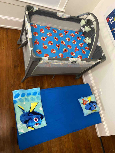 Photo of Little Ray Of Light ( Rayito De Luz ) - Syracuse, NY