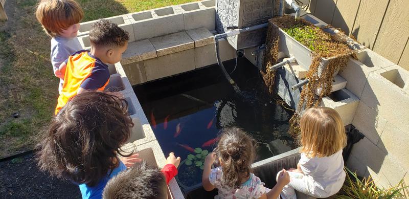 Photo of Brown's Daycare - San Antonio, TX