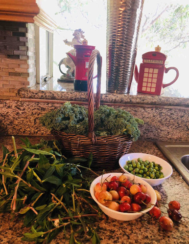 Photo of DeSilva Daycare - Irvine, CA