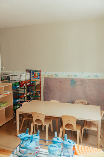 Photo of Cuddles Academy - San Diego, CA