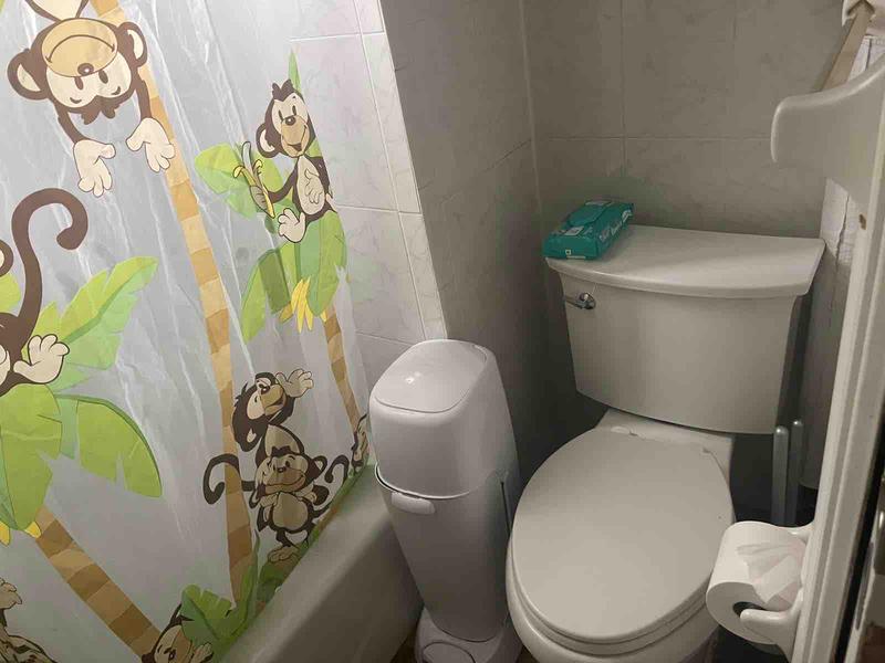 Photo of The Jungle Day Care LLC - Ridgewood, NY