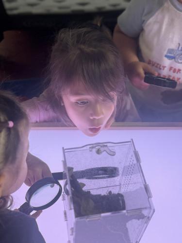 Photo of Silly Little Genius Daycare - Fullerton, CA