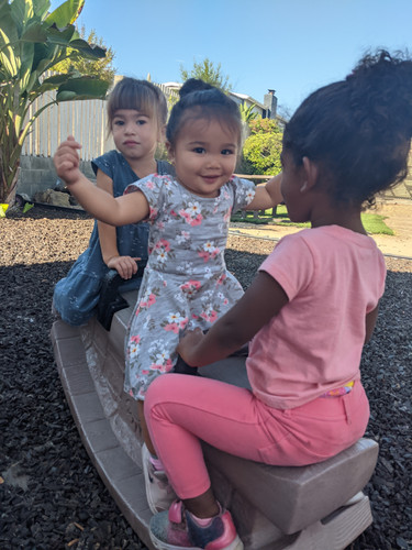 Photo of Cuddles Academy - San Diego, CA