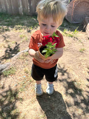 Photo of Marin Daycare - Novato, CA