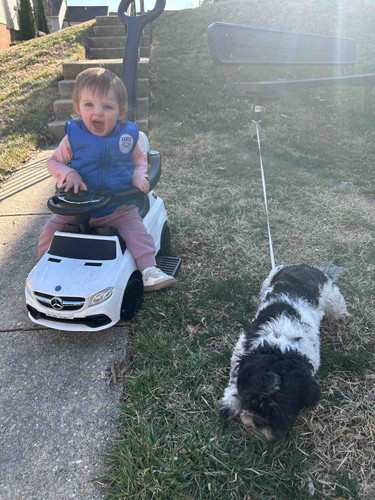 Photo of Cray’s Clubhouse - Laurel, MD