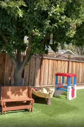 Photo of Yeca's Childcare - San Jose, CA