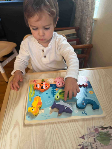 Photo of Donys Daycare - Mission Viejo, CA