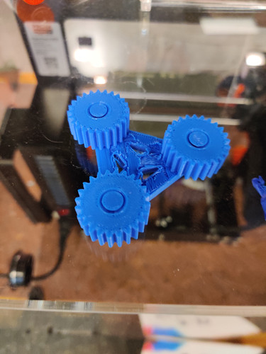 Photo of Lauren W. - North Bend, WA