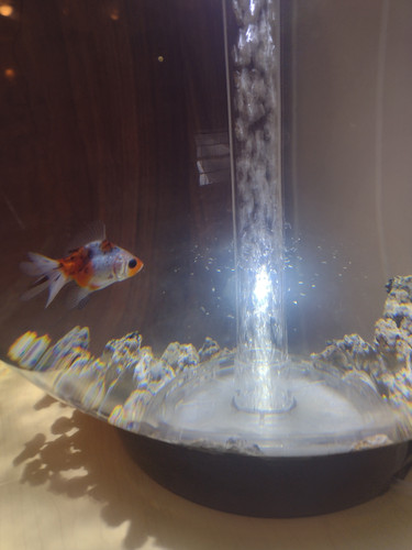 Photo of Precious Gifts FCCLH (legally Operated As Erica Stephens) - Statesboro, GA