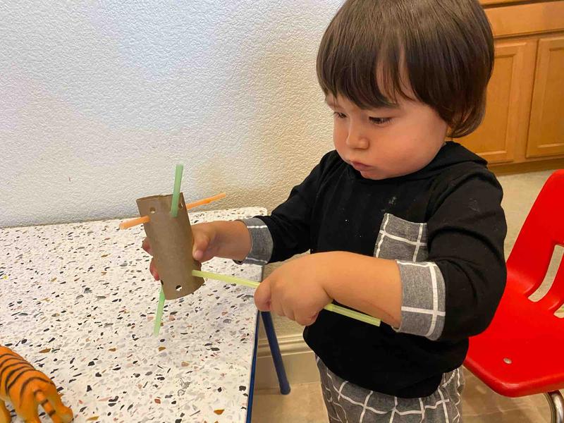 Photo of Work N Play Home Daycare - Folsom, CA